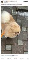 https://images.plurk.com/6CMGjcwBWBBm9GhCexYu7f.jpg