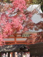 https://images.plurk.com/6CP2XchGkXOxh466m4XHIw.jpg