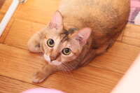 https://images.plurk.com/6CRGkLRJAQpjzyAJ1H9iT.jpg