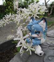 https://images.plurk.com/6Chg65Iuo2Yr5jP747kr81.jpg