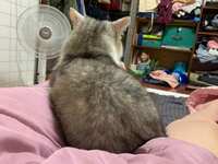 https://images.plurk.com/6CjPKQRQBlfvhMECW1sLNa.jpg
