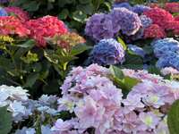https://images.plurk.com/6CkGXe06Q7cl15Bb9Olqg5.jpg