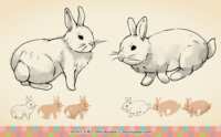 https://images.plurk.com/6CkeSWu1ZKKiL2lhdsI2np.png