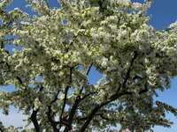 https://images.plurk.com/6Co2SEGhD1xDQAxwdhO1VV.jpg