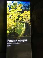 https://images.plurk.com/6CqXsVjsTgLqmSlWA9a1AB.jpg