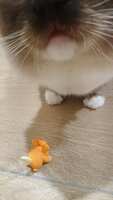 https://images.plurk.com/6Cs6hCAvcg3UrMJDmz8AiD.jpg