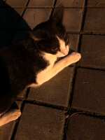 https://images.plurk.com/6Ct5PF2uGxKvcH839qIS14.jpg