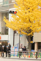https://images.plurk.com/6CxtGvBbCvWCwbRDPSItYM.jpg