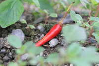 https://images.plurk.com/6Cy1IZVtY1WLVKR7DHSGpi.jpg