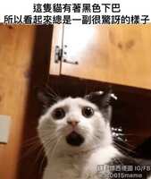https://images.plurk.com/6D9wsszhtlXCTpF1zHbY6e.jpg