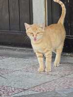https://images.plurk.com/6DBcBNhaEVma6CJjFL6IzY.jpg