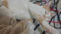 https://images.plurk.com/6DCxVcXnCvwXlc8atVM2t6.jpg