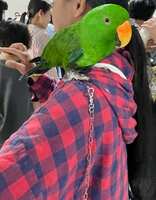 https://images.plurk.com/6DJaLjElVTRefIfrCtGjSC.jpg