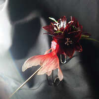 https://images.plurk.com/6DRRPLVtntLUYr14HXADPd.jpg