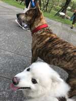 https://images.plurk.com/6DZWtP2sA6pTbRlp1mqxz.jpg
