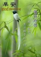 https://images.plurk.com/6DalvPoFEKxxZHfJrtDmX4.png