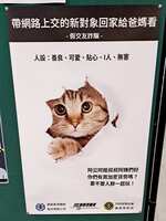 https://images.plurk.com/6Ddaz6KvMmLFmoawUf2rnz.jpg