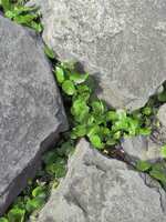 https://images.plurk.com/6DexmXoqFghgh3kZGrkXGU.jpg
