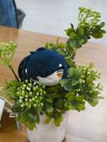 https://images.plurk.com/6Dg012096kA7AUOrmQ66tg.jpg