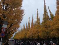 https://images.plurk.com/6DiAwGy1ZNHPOZr15hUlVW.jpg