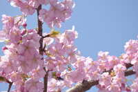 https://images.plurk.com/6DmQu6ET2Ua9n6epiqDkWF.jpg