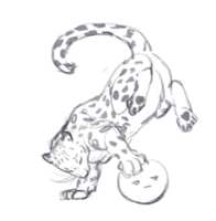 https://images.plurk.com/6DmuYu24ZKZUMZqa3bHGYn.png