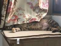 https://images.plurk.com/6DpRHe08KlEFA1OrIwfYsq.jpg