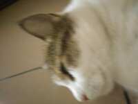 https://images.plurk.com/6DzkdkN1RS5EKoCLfeNjF.jpg