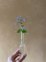 https://images.plurk.com/6E0jJBJviWLqKFCG5yYJI0.jpg