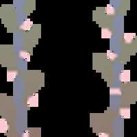 https://images.plurk.com/6E5EtBNx01zhanPKBEtyM6.gif