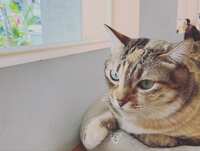 https://images.plurk.com/6ECAkJgWrF65r0FK5Sb4Pg.jpg