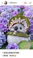 https://images.plurk.com/6EDIGXcJW80dpsDm1I81OM.png