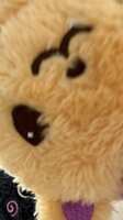 https://images.plurk.com/6EOWhLU42nhrJRdoBcd2Xv.jpg