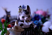 https://images.plurk.com/6EU2CYLnmbakQhRYysiJ6j.jpg