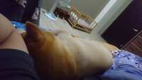 https://images.plurk.com/6EY3hOw6rpXK6hEhFQ99XL.jpg