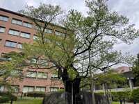 https://images.plurk.com/6EfPZuM6vbr1CeUW3wQz4E.jpg