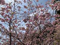 https://images.plurk.com/6EgKBCtm8J0NpaS1krkph4.jpg