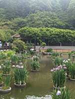 https://images.plurk.com/6EgMAGEACCBnv2Pq7qnwXO.jpg