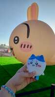 https://images.plurk.com/6F1Urv7N4G0iJcGtRW7WaN.jpg
