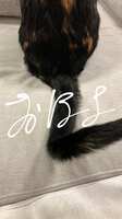 https://images.plurk.com/6FEMqImEgtBlPaUiCy2lO3.jpg