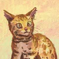 https://images.plurk.com/6FHK4NtcwwPjdDQZld7LaT.gif