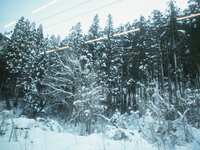 https://images.plurk.com/6FVDprSEZBCzyfHzxozUPr.jpg