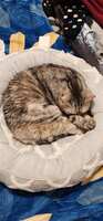 https://images.plurk.com/6FWOa2Mhvpl6wT2kIOq0kg.jpg