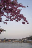 https://images.plurk.com/6FWsWNsLe2bjgkfrEtQTul.jpg