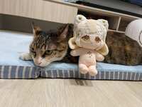https://images.plurk.com/6FYSzXHQF6UB79pmWEJCc5.jpg