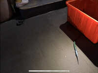 https://images.plurk.com/6Fa0yWrv8qMVIFyFOlxfuV.jpg