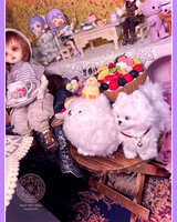 https://images.plurk.com/6FegHXziErRPS2nzAInEj7.jpg