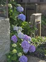 https://images.plurk.com/6FfmpYjWuPDCHUZxZGF0jD.jpg