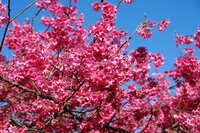 https://images.plurk.com/6FmZNGzzpTSYvL5QuuScRH.jpg