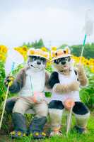 https://images.plurk.com/6FqW3Xn4ibKoplzHKTMnQU.jpg